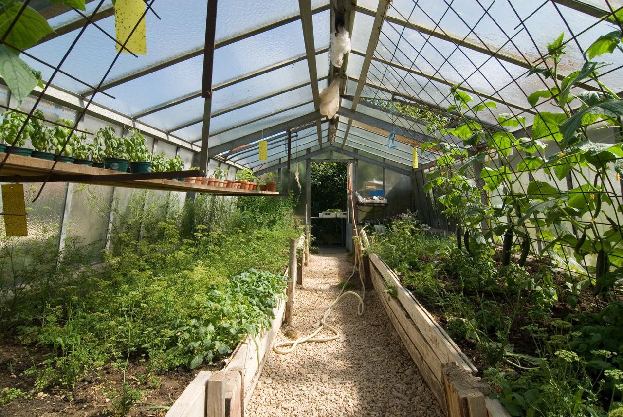 Biohotel-Restaurant Rose Hayingen Luaran gambar